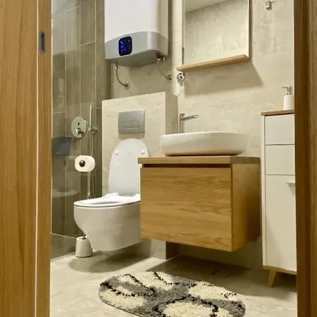 Aleksic Apartament *