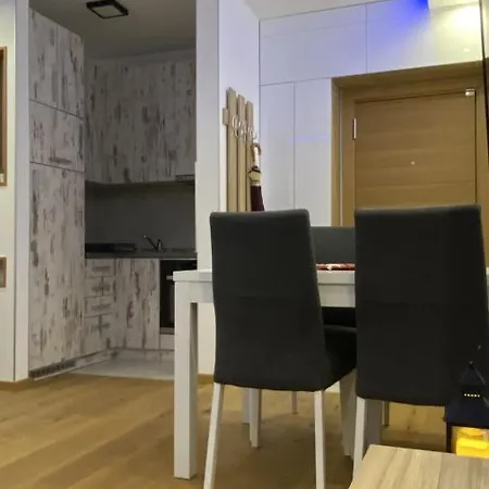 Aleksic Apartament