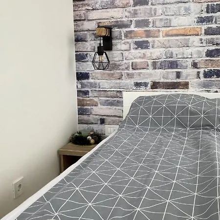 Aleksic Apartamento *