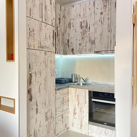 Apartamento Aleksic *