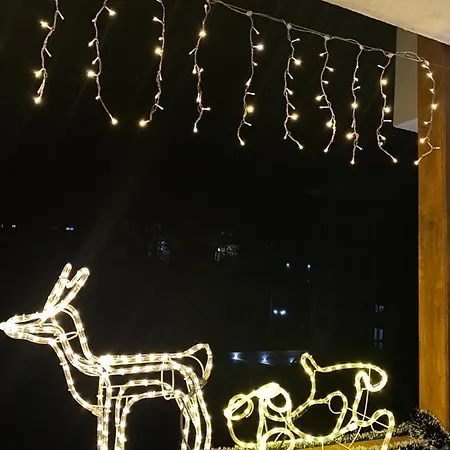 Apartament Aleksic Zlatibor