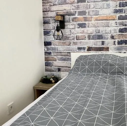 Aleksic Апартаменты *