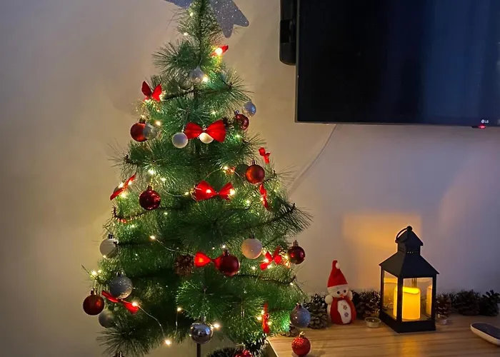 Aleksic Апартаменты